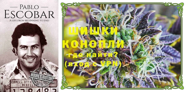 jwh Алзамай