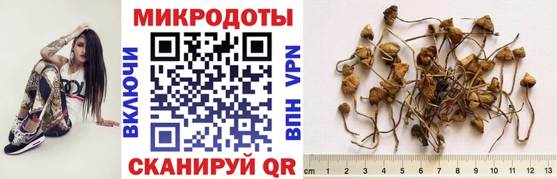 Псилоцибиновые грибы прущие грибы Тюкалинск